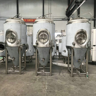 500L啤酒发酵设备