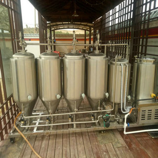 豪鲁100L啤酒发酵系统